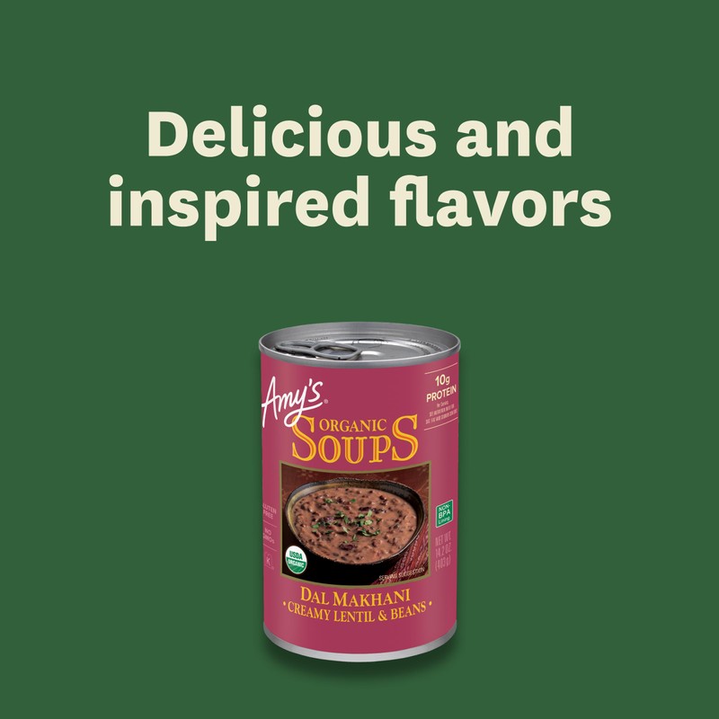 Amy's Soup, Organic Dal Makhani Soup, 14.2 Oz, Pack of