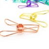 25 Pcs Metal Clothes Pegs Laundry Pegs Photos Clips Clothesline