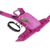 skiguard Ski Harness Trainer for Kids: Helping Toddler Learn to
