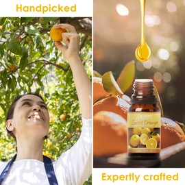 Salubrito Citrus Essential Oils Set for Diffuser, Fragrance Oil | Sweet Orange, Bergamot, Lemon, Grapefruit, Mandarin Orange, Lime Scented Oil for Soap Making, Candle Making
