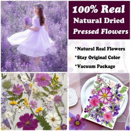 LUCISKY 35Pcs Purple Pressed Dried Flowers for Resin Molds, Real Natural Bulk Dry Floral Leave for DIY Art Crafts, Epoxy Jewelry, Candle, Soap Making, Nails Decors