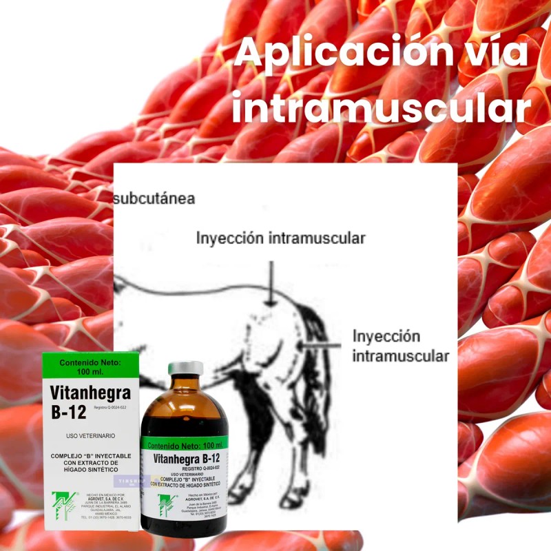 Vitaminas Para Perros Complejo B Vitamina Para Gallos Aves