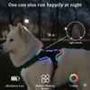 Light Up Dog Harness for Medium/Large Dogs