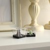 MAGICLULU 12pcs Rock Display Case Box Stones Storage Display Case
