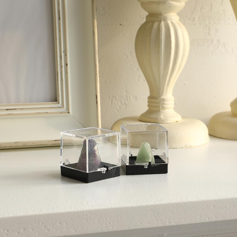 MAGICLULU 12pcs Rock Display Case Box Stones Storage Display Case