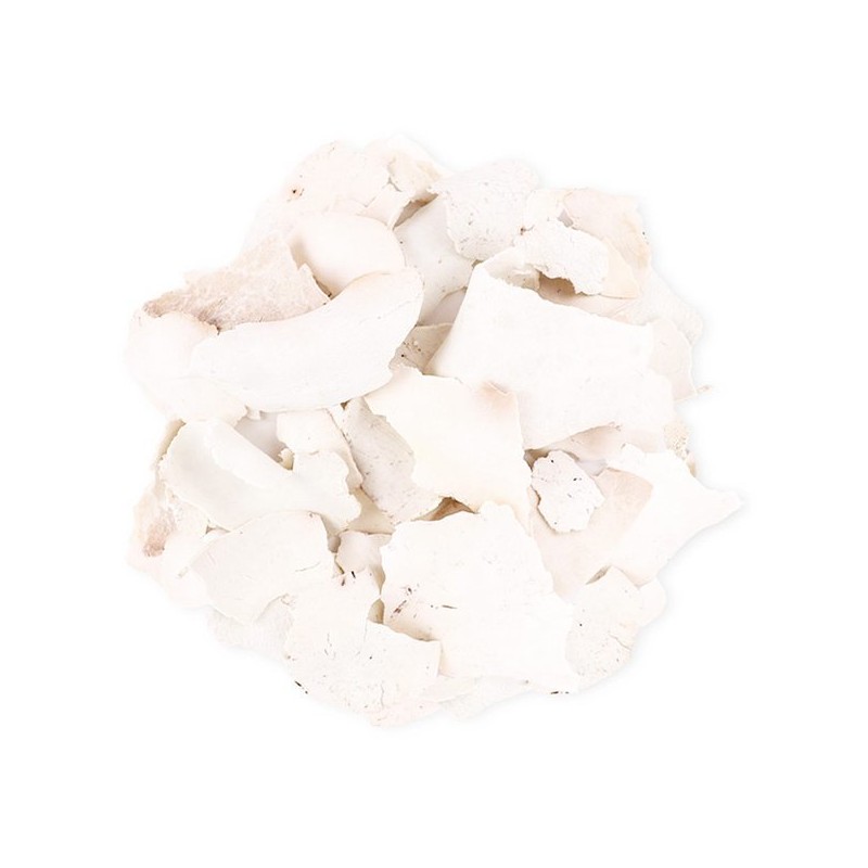 Dongui Hanjae 동의한재 특품 국산 백복령 300g x 2개 Korean