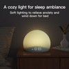 HOUSBAY Sunrise Alarm Clock, White Noise Sound Machine, Cozy Light,