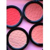 Technic Matte Blusher Kitten