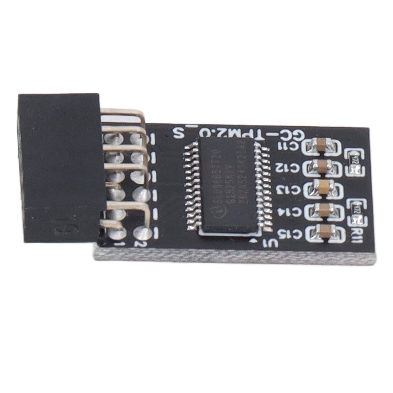 TPM 2.0 Module LPC SPI 12Pin Remote Card Encryption Security