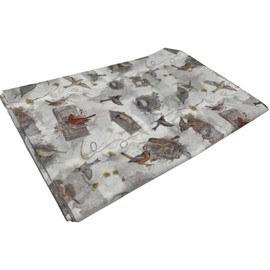 Bird Nest Tissue Paper with Cardinal Finch Blue Jay Birds 20 Inch x 30 Inch Sheets Bulk Bundle Set for Decorating Gift Bags or Presents, Pack of 20