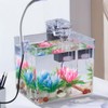Aquarium Starter Kits - Arcrylic Fish Tank with 3W Light