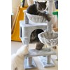 KIYUMI Cat Tree Cat Tower Condo with Sisal Scratching Post