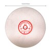 Rannb Flat Lap Wheel 400 Grit 6-inch Outer Dia Diamond