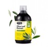Comvita Buy Comvita Fresh-Picked Olive Leaf Extract Original 500ml Online