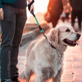 VIVAGLORY Short Dog Lead with Comfortable Padded Handle, 46cm Durable Rope Short Walking & Training Leashes for Dogs with Highly Reflective Threads for Medium & Large Dog, Green