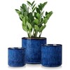 vancasso Ceramic Plant Pots, 4.25+5.25+6.25 Inch Planter Pot with Drainage