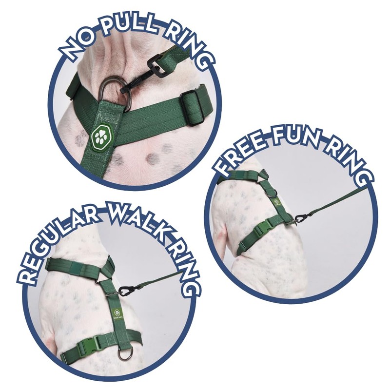 Spark Paws No-Pull Dog Harness - Designed for Safety and