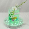 LARDUX Pack of 4 LED Lights Base with Remote -