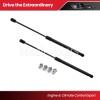 Micah Motors 2x Front Hood Lift Supports Struts Shocks Fit