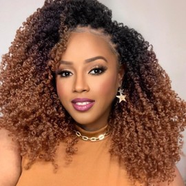 Aksice 10 Inch 8 Packs Yanky Twist Crochet Hair for Women Pre-looped Mini Twist Hair Bohemian Passion Twist Crochet Hair Boho Crochet Synthetic Hair (1B/4/30)