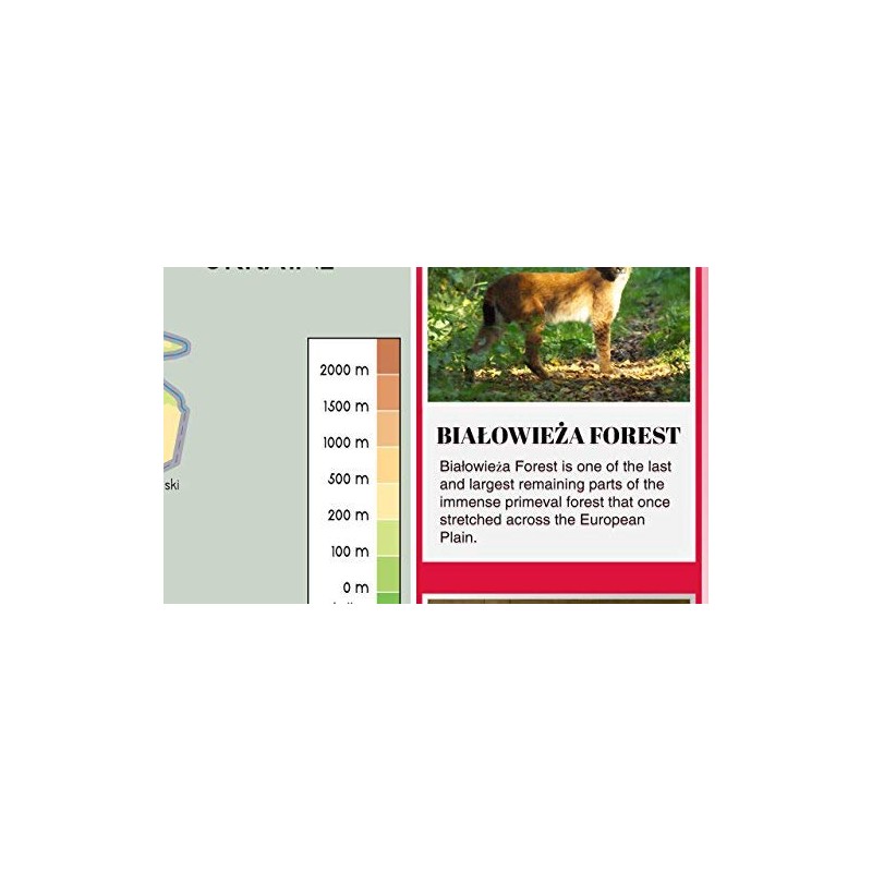 Wall Map of Poland Paper Laminated 23.4 x 16.5 inches