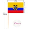 100 Pcs Ecuador Toothpick Flag Ecuadoran Small Mini Cocktail Fruit