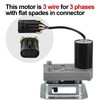 12V Auger Feed Motor for Green Mountain Grills Jim Bowie