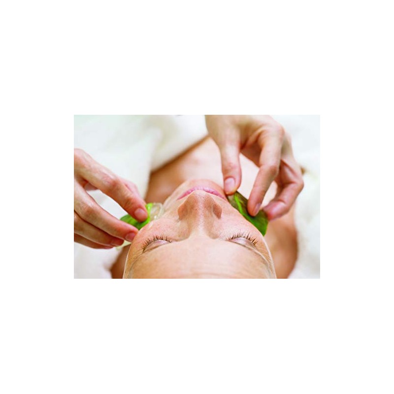 Pharmos Natur - Beauty - Basic Care - Gesichtspflege -