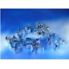 Staedter 5 Sea Animals Cookie Cutter Set, Tinplate Stainless Steel,