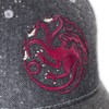 Game of Thrones Targaryen野球帽子