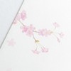Enuby Envelopes, Spring Sanshu Under the Cherry Blossoms | 5