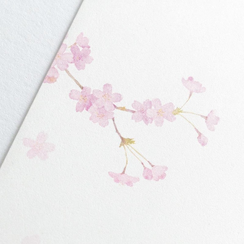 Enuby Envelopes, Spring Sanshu Under the Cherry Blossoms | 5