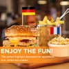 CIYIN Flag Toothpick, Toothpick with Flags, 100 Different Country Flags,