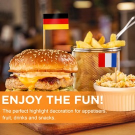 CIYIN Flag Toothpick, Toothpick with Flags, 100 Different Country Flags, European Countries Toothpicks, for Party Decoration Olympia EM 2024, World Cup Decoration