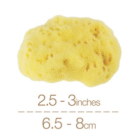 IntimateCare Sea Sponges. Mediterranean Sea Sponges in Plastic Free Packaging. Absolute Quality. (Golden Yellow, 2X 6.5-8cm / 2.5-3in’)