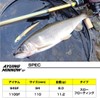 Daiwa Ayuing Minnow 94SF Clear Glare Ayu Minnow