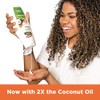 Champ acondicionador de aceite de coco Palmers para cabello seco,