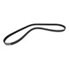 CONTITECH 5PK1240 V-Ribbed Belt