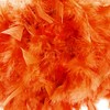 Eye-Catching and Modern Real Natural Vibrant Orange Feather Decorated Small