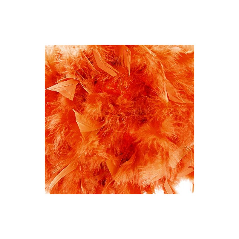 Eye-Catching and Modern Real Natural Vibrant Orange Feather Decorated Small