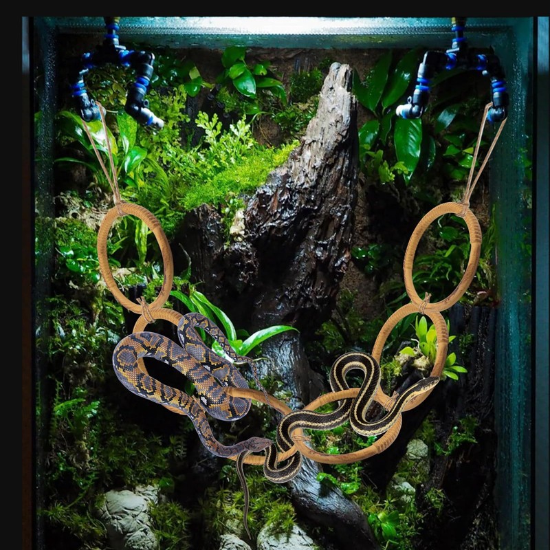 Snake Enrichment Rings for Ball Python, Plastic Imitation Wood Playground