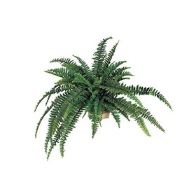 Larksilk 48" Wide Artificial Silk Boston Fern Plant with 48 Fronds - Lifelike Indoor Greenery for Home and Office Decoration - Artificial Silk Ferns for Indoors - Artificial Plants Outdoor