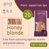 Ayluna Plant Hair Colour 100 Hair Colour 20 Honey Blonde