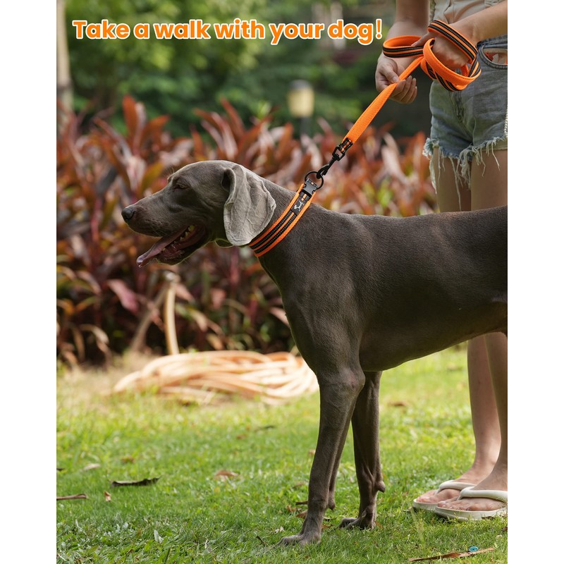 Kaka Mall Adjustable, Breathable, Reflective Nylon Dog Collar