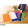 Lion Office Equipment PP Flat File Minano Black F-51M
