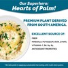 Palmini Mashed | Low-Carb, Low-Calorie Hearts of Palm Mash |