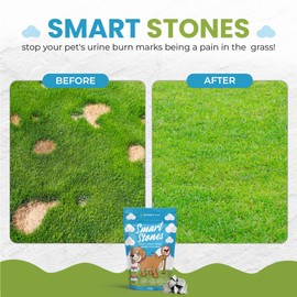 Prevent Urine Burn Patches In Lawns | Smart Rocks For Water Bowls Suitable For Dogs And Cats | Holistic Solution To Purify Pets Drinking Water | Dog Urine Neutraliser For Lawns 200g