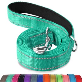 Joytale Dog Leash, 6 FT Double-Sided Reflective, Padded Handle Nylon Heavy Duty Leashes for Medium & Large Dogs Walking, Teal, 6FT