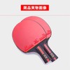 Table Tennis Racket, Beginner, Intermediate, Shake, Carbon Case, Pen, Double-Sided,