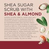 Dr Teals Scrub Exfoliante para la Piel con Manteca de